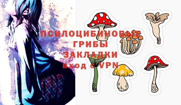 прущая мука Абаза