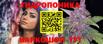 ECSTASY Малгобек