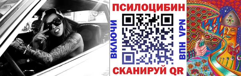 наркошоп  Владимир  Псилоцибиновые грибы GOLDEN TEACHER 