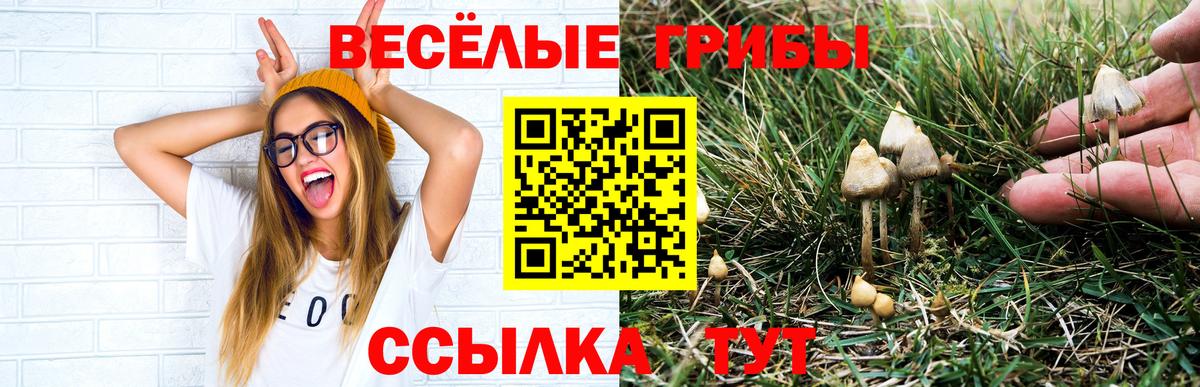 Владимир  Галлюциногенные грибы Magic Shrooms  Псилоцибиновые грибы прущие грибы  Вход с VPN 